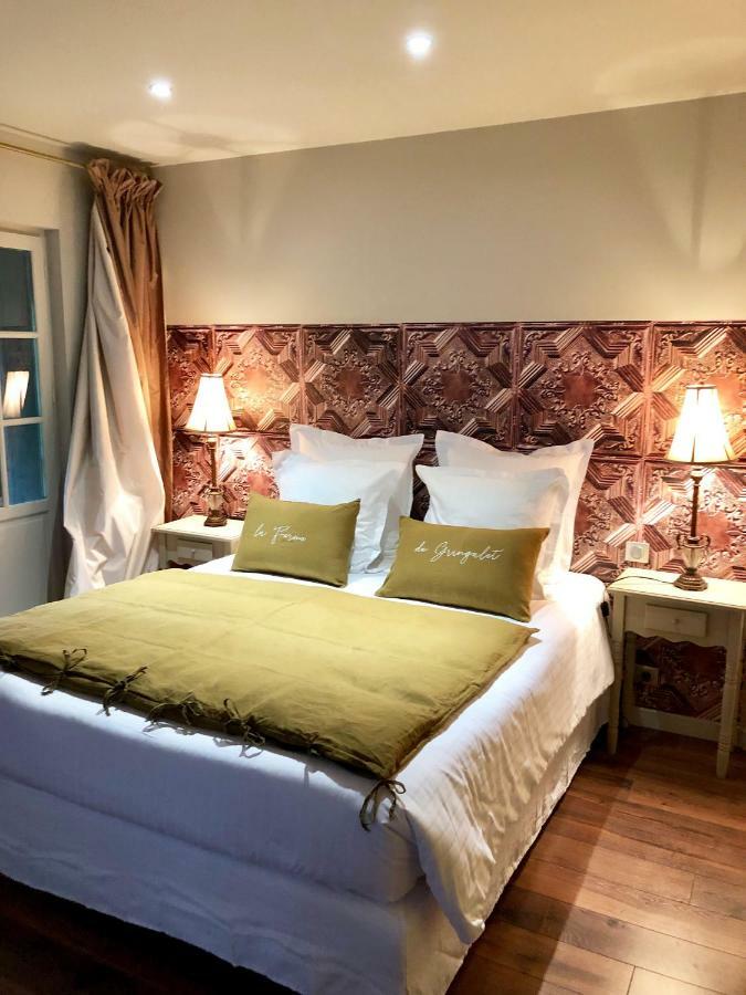 Bed and Breakfast La Ferme De Gringalet Anthon Zewnętrze zdjęcie